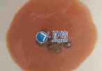實(shí)驗(yàn)室常用研磨儀器是什么？組織研磨儀常用嗎？
